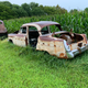 Illustration for article titled Barn Find the guy tells me. 66 C10 Longbed Also help guess years for other cars.